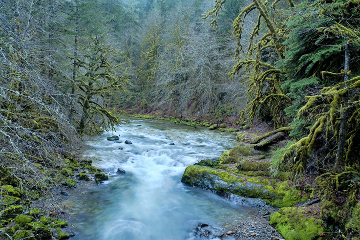 North Santiam River rafting